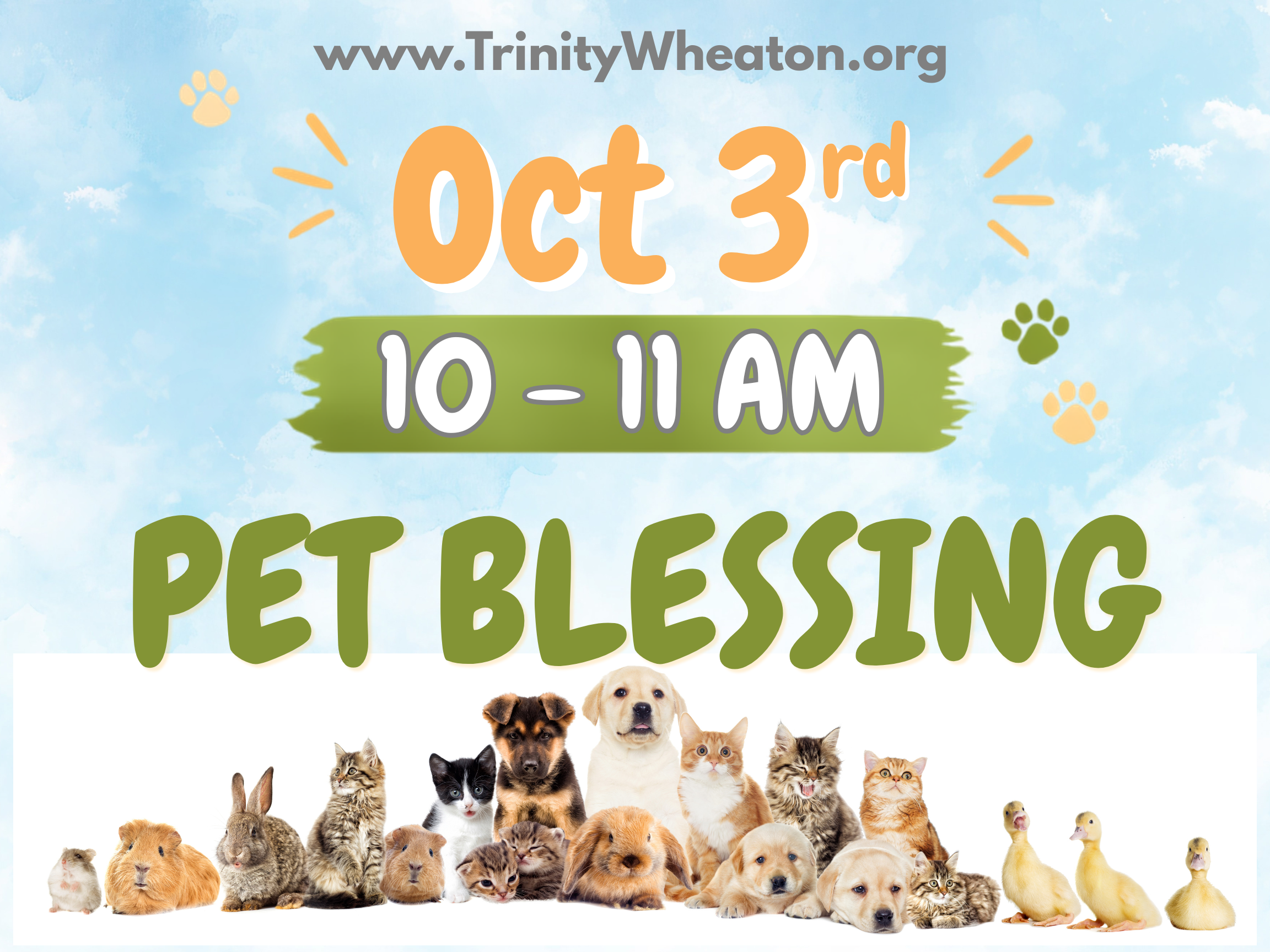 Pet Blessing